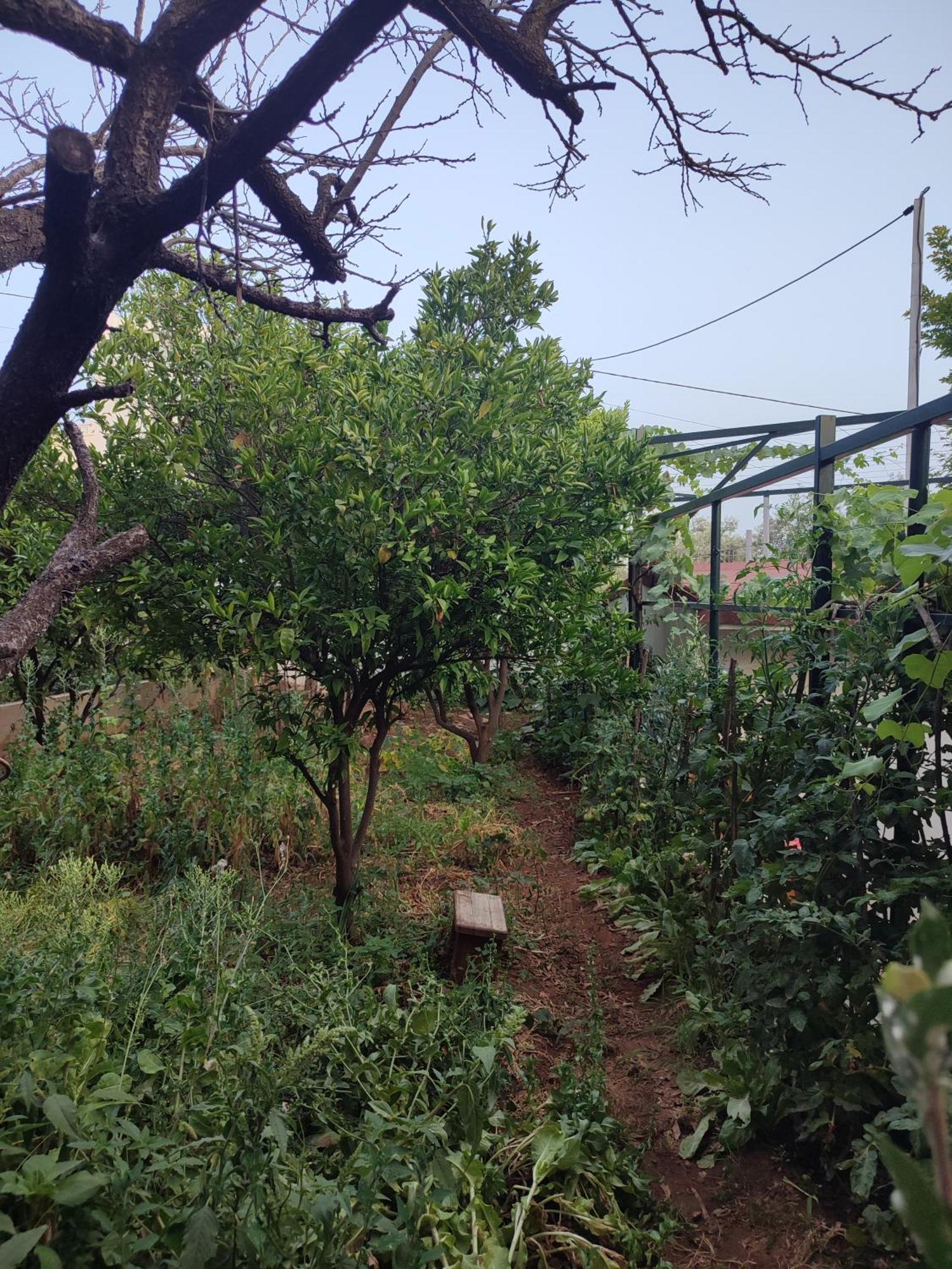Country house Janilla Dhermi